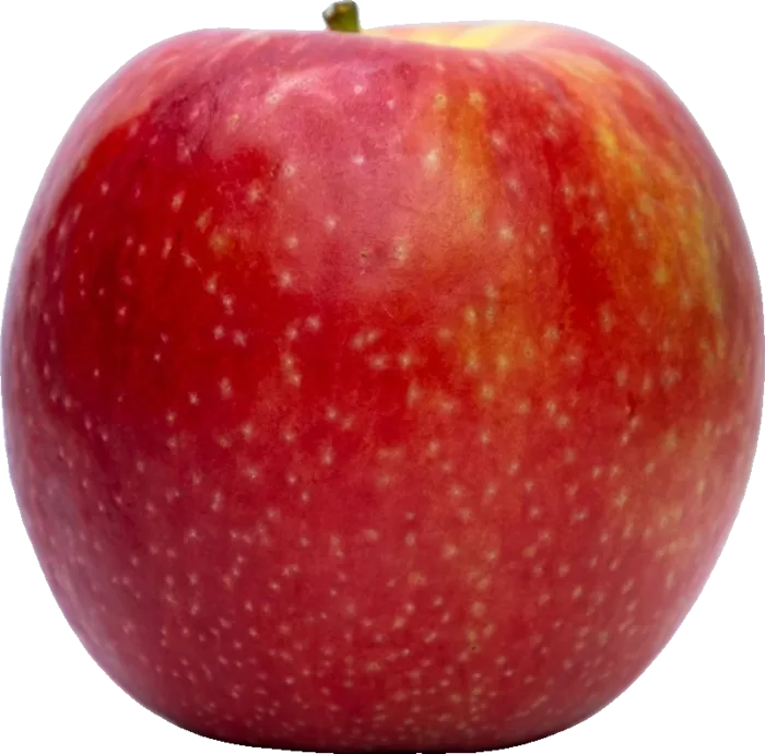 A glossy red apple with its stem