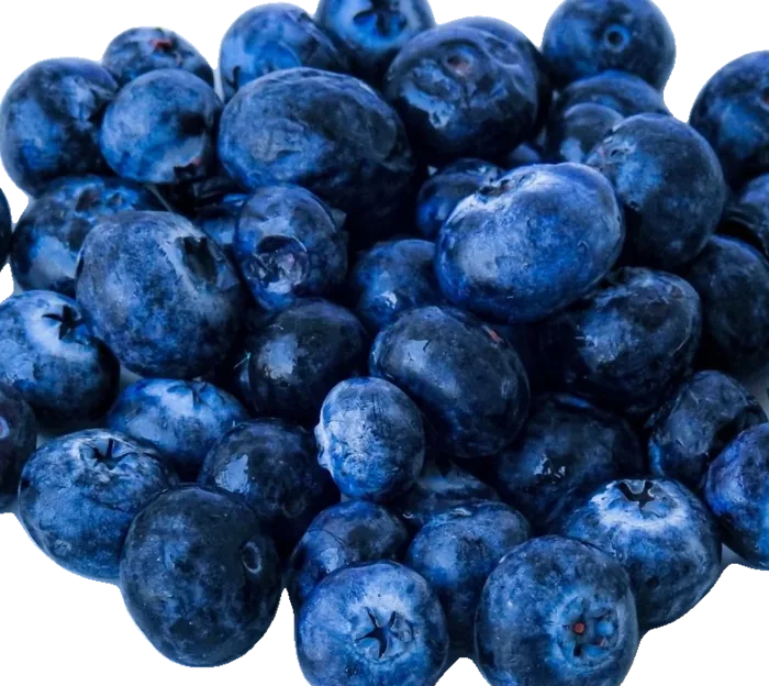 A pile of fresh blueberries
