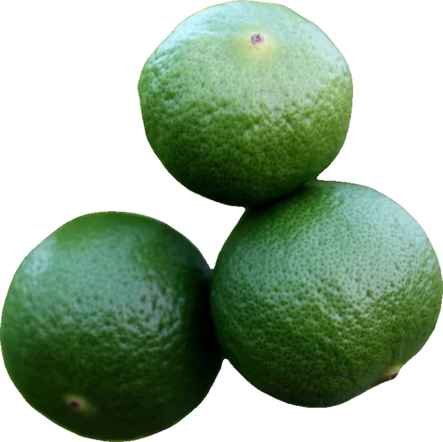 Whole green limes with a leaf