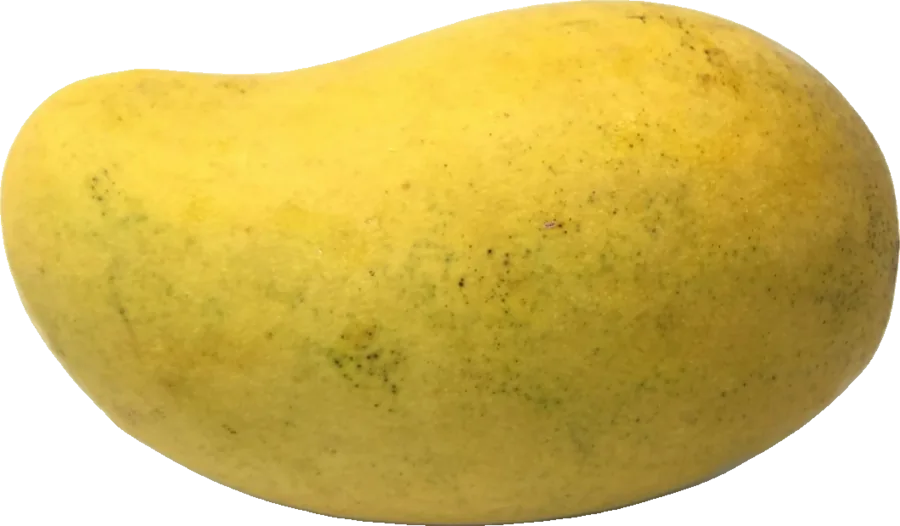 A ripe yellow mango