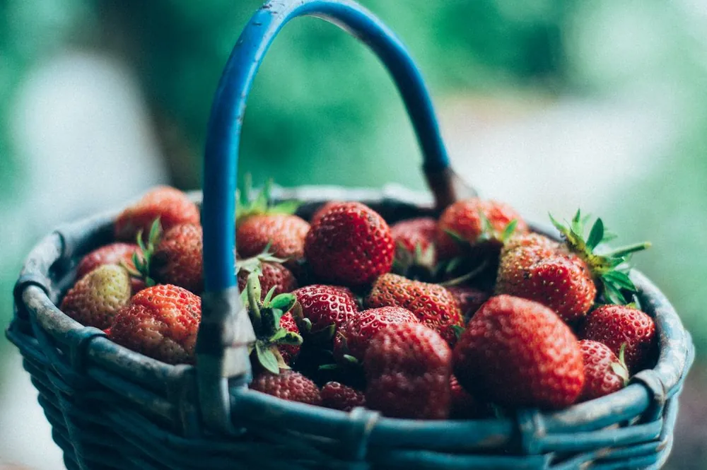 Strawberries overflowing a wicker basket