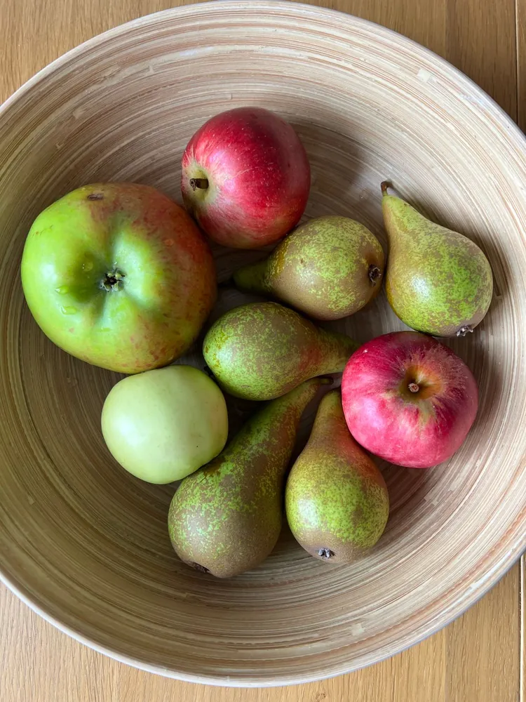 A wooden bowl of apples and pears on a wooden table