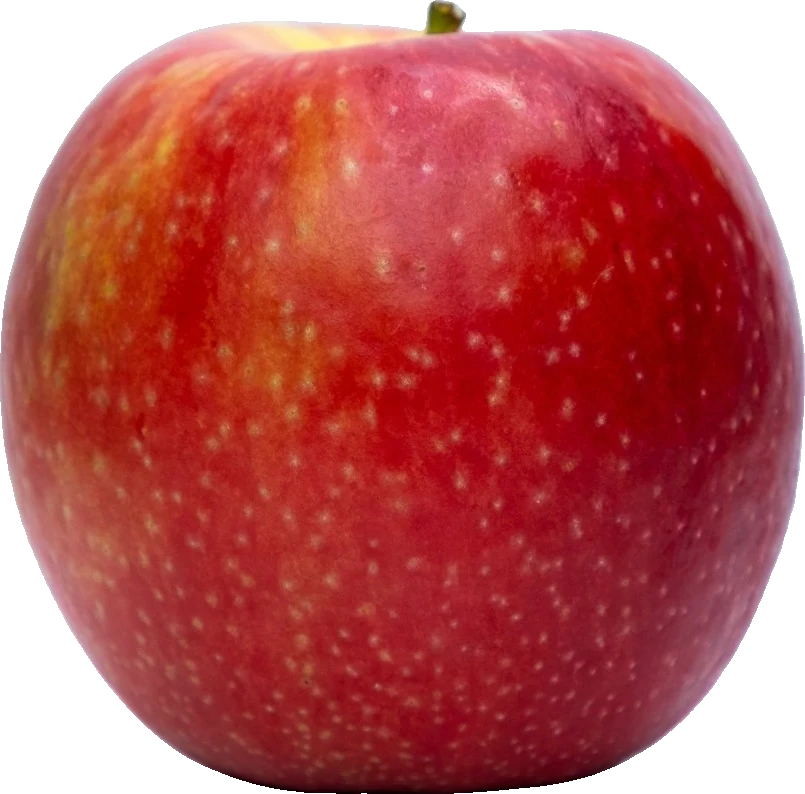 Shimla Apples