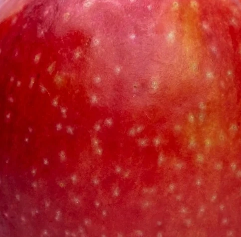 Cosmic Crisp