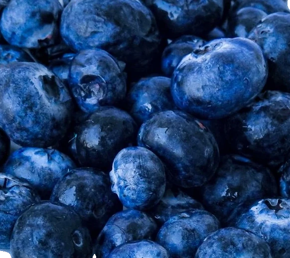 Organic Blueberries