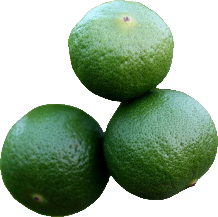 Persian Limes