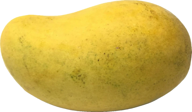 Alphonso Mango