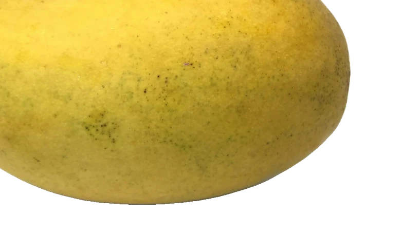 Hapus Mango