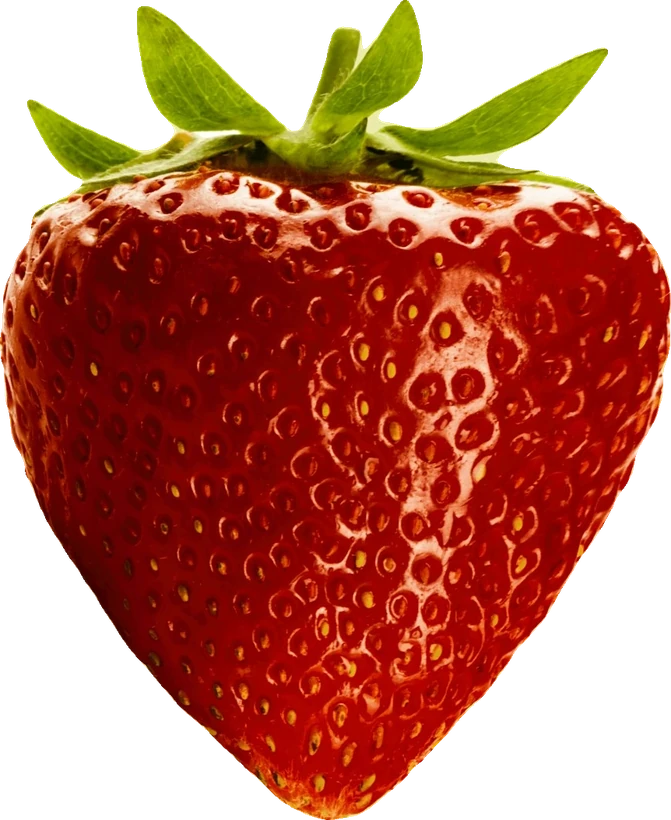 Wild Strawberries